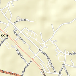 Berikon Street Map