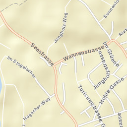 Uster / Nieder-Uster Street Map