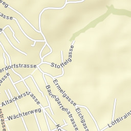 Seengen Street Map