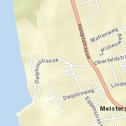Meisterschwanden Street Map