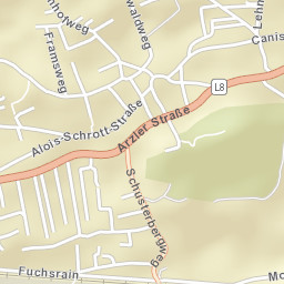Arzl Street Map