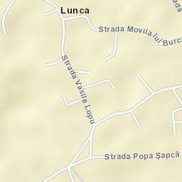 Lunca Street Map