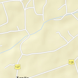 Topile Street Map