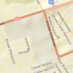Municipiul Paşcani Street Map