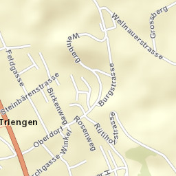 Triengen Street Map