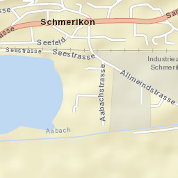 Schmerikon Street Map