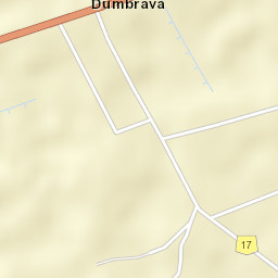 Dumbrava Street Map