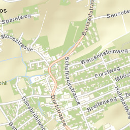 Selzach Street Map
