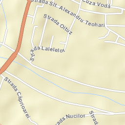 Târgu Neamţ Street Map