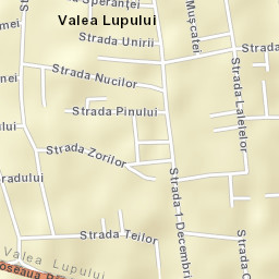 Valea Lupului Street Map