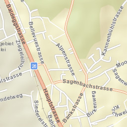Hochdorf District Street Map