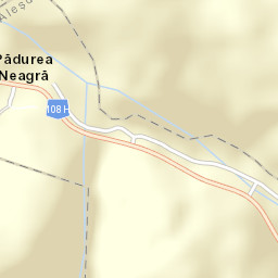 Pădurea Neagră Street Map