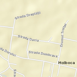 Dancu Street Map