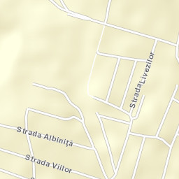 Ciorescu Street Map