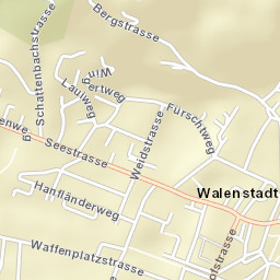 Walenstadt Street Map