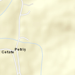 Petriș Street Map