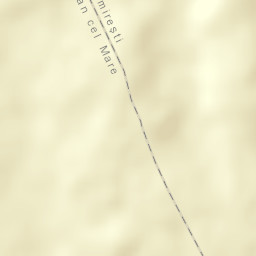 Dragomireşti Street Map