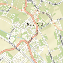 Maienfeld Street Map