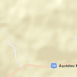 Aşchileu Dorna Street Map