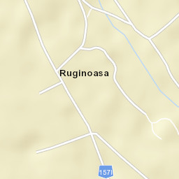 Ruginoasa Street Map