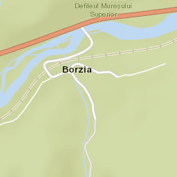 Borzia Street Map