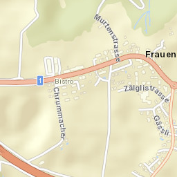 Frauenkappelen Street Map