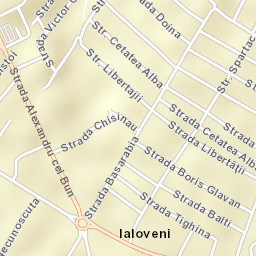 Ialoveni Street Map