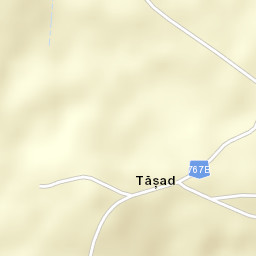Tășad Street Map