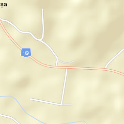 Borşa Street Map
