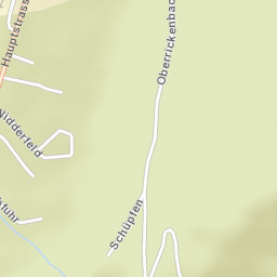 Wolfenschiessen Street Map