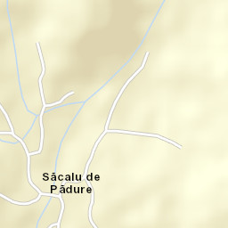 Săcalu de Pădure Street Map