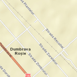 Dumbrava Roşie Street Map