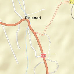 Poienari Street Map