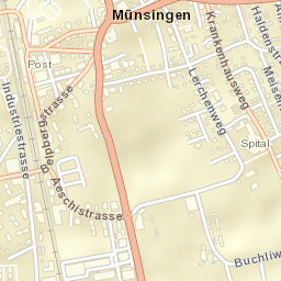 Münsingen Street Map