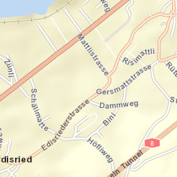 Sachseln Street Map
