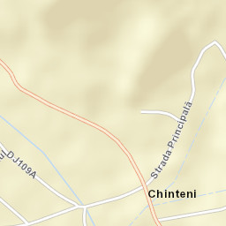Chinteni Street Map