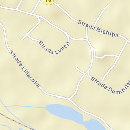 Săvineşti Street Map