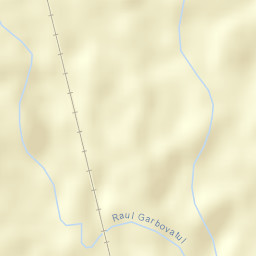 Băceşti Street Map