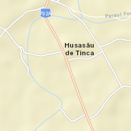 Husasău de Tinca Street Map