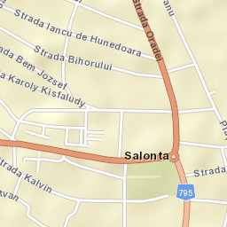 Municipiul Salonta Street Map