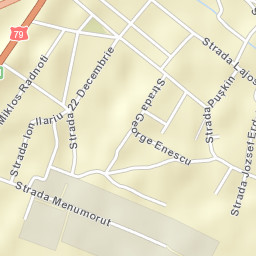 Salonta Street Map