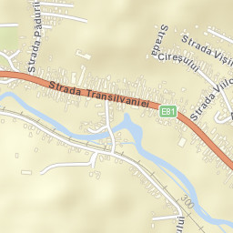 Baciu Street Map