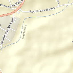 Sarine District Street Map