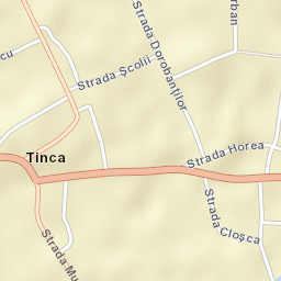 Tinca Street Map