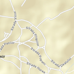 Dezmir Street Map