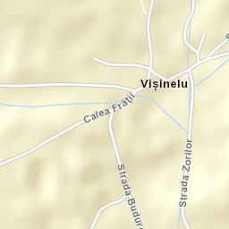 Vișinelu Street Map