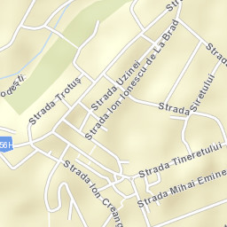 Oraş Buhuşi Street Map