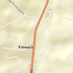 Feleacu Street Map
