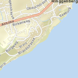 Ringgenberg Street Map
