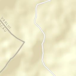 Pungeşti Street Map